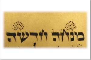 Torah Text