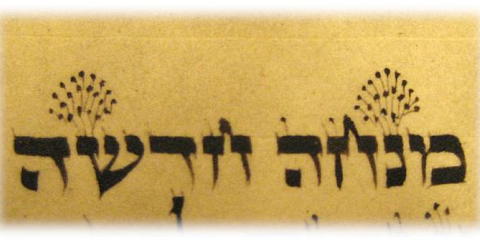 torah text